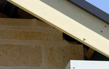soffit repair Bowerchalke
