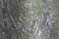 Bowerchalke fibreglass roof work